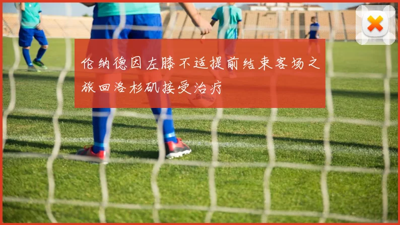 伦纳德因左膝不适提前结束客场之旅回洛杉矶接受治疗