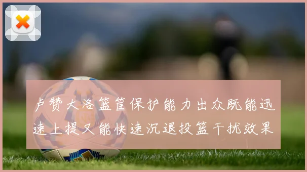 卢赞大洛篮筐保护能力出众既能迅速上提又能快速沉退投篮干扰效果显著