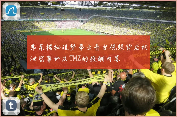 弗莱揭秘追梦拳击普尔视频背后的泄密事件及TMZ的报酬内幕