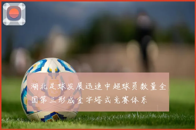 湖北足球发展迅速中超球员数量全国第三形成金字塔式竞赛体系