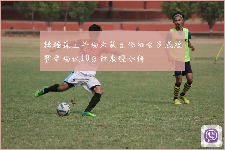 杨瀚森上半场未获出场机会罗威短暂登场仅10分钟表现如何